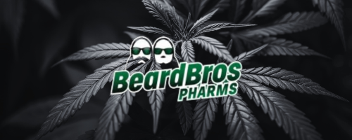BEARD BROS Logo 500x200 (1)