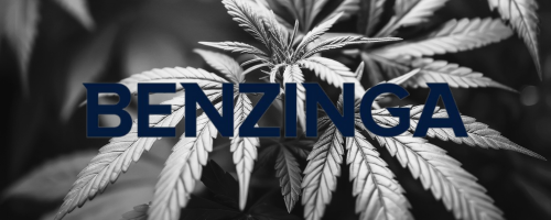 BENZINGA Logo 500x200 (3)