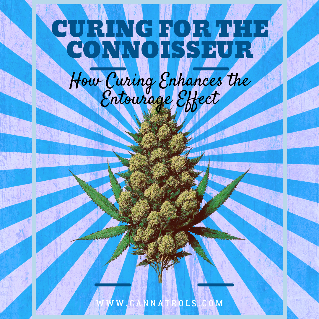 Curing for the Connosseur (1080 x 1080 px)-1