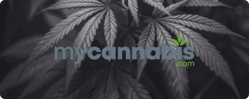 mycannabis.com Media Page Banner 2025 (1)